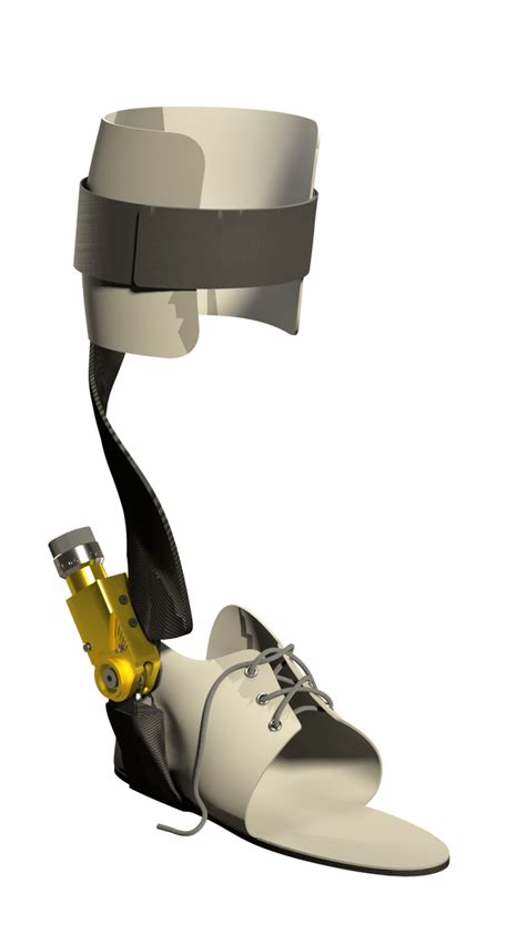 fysio hermes|Hermes ankle orthosis .